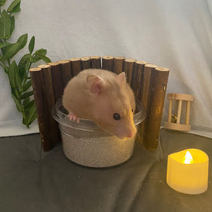 Meet your Posher, Ava